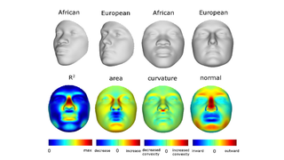 The Problem With Those DNA-Based Mugshots